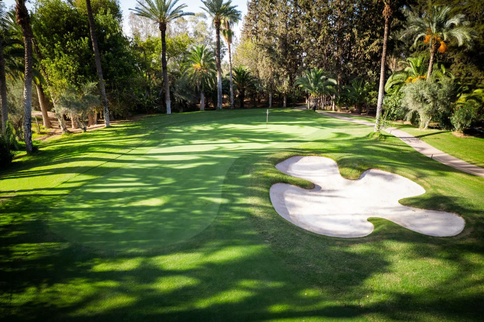 Al Maaden Golf : L'Art et le Sport
