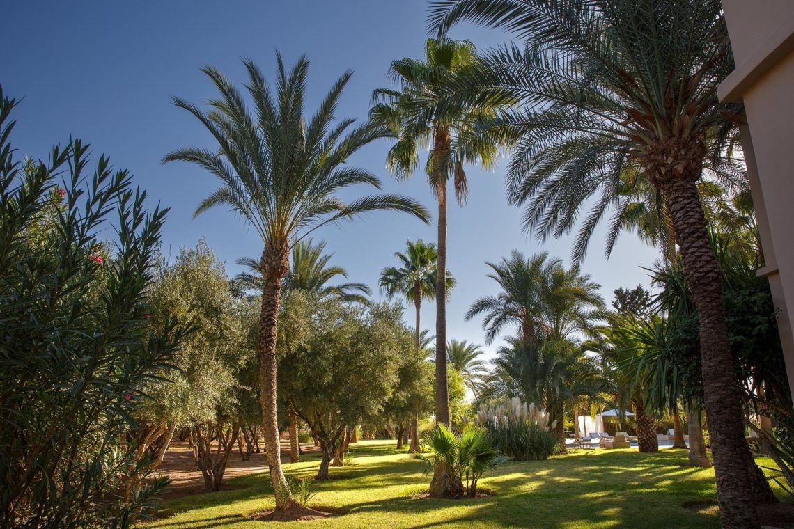Villa de standing, Route de Ouarzazate