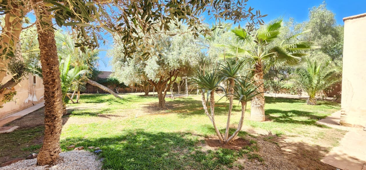 Villa de standing, Palmeraie