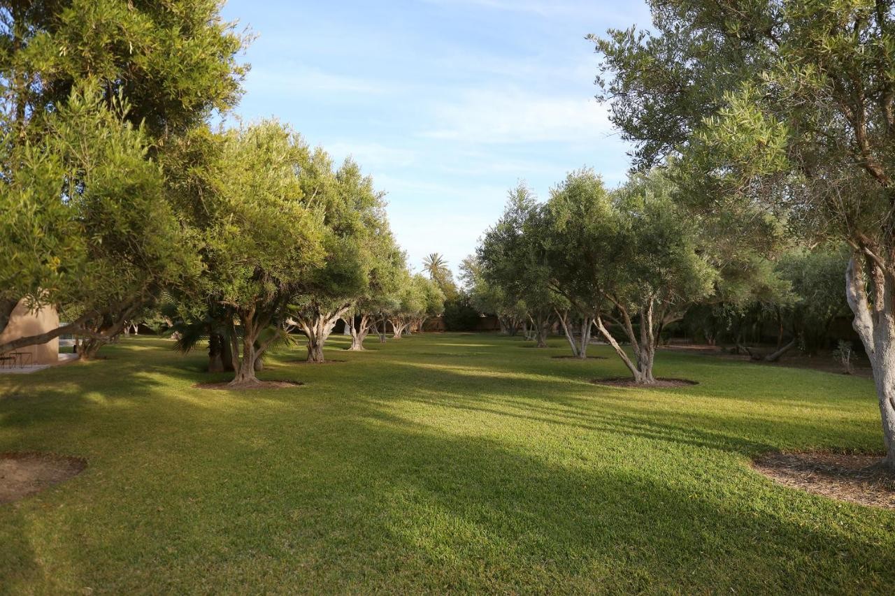 Villa haut standing, Palmeraie