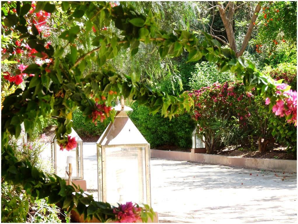 Villa de standing, Palmeraie