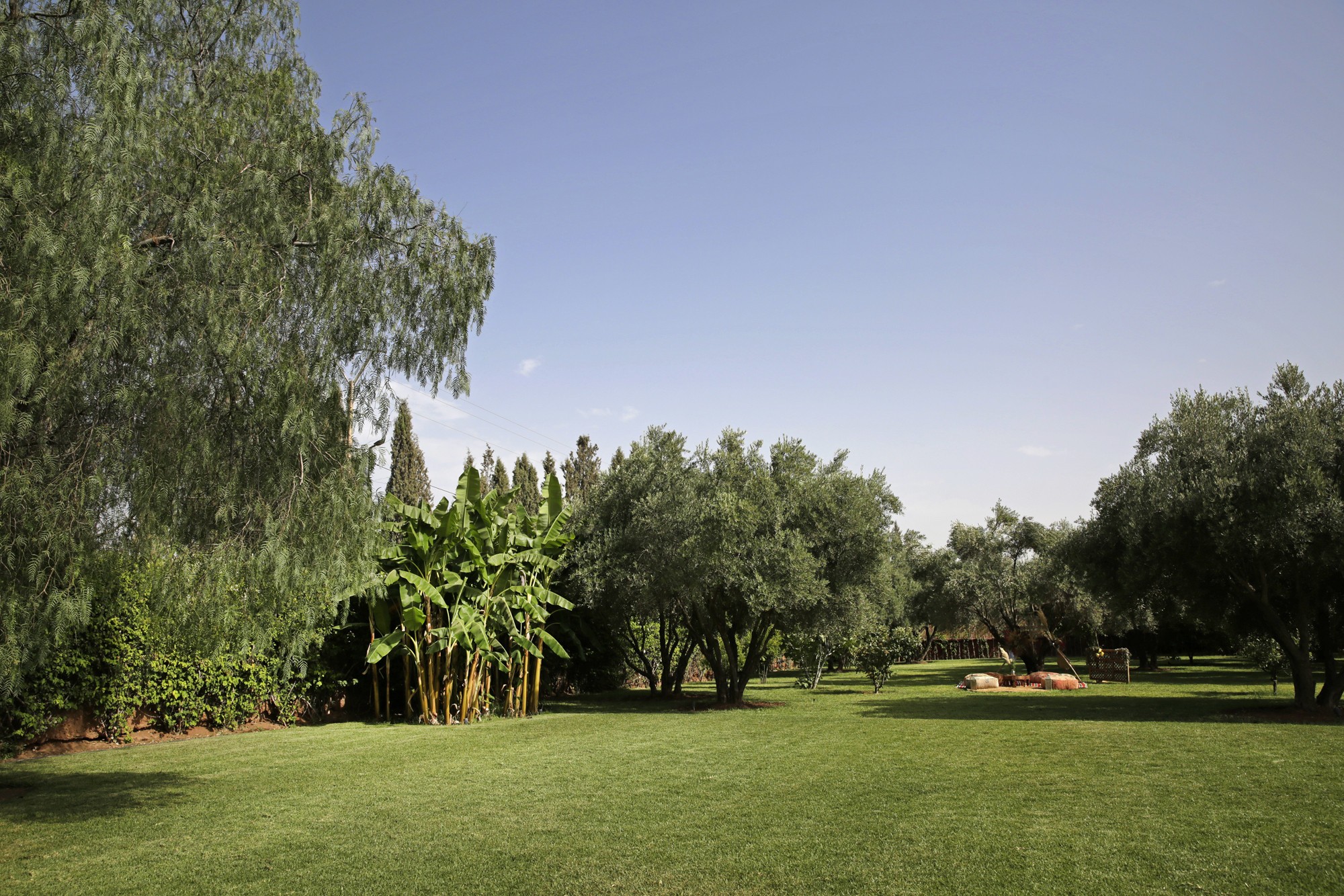 Luxury villa, Road to Ourika