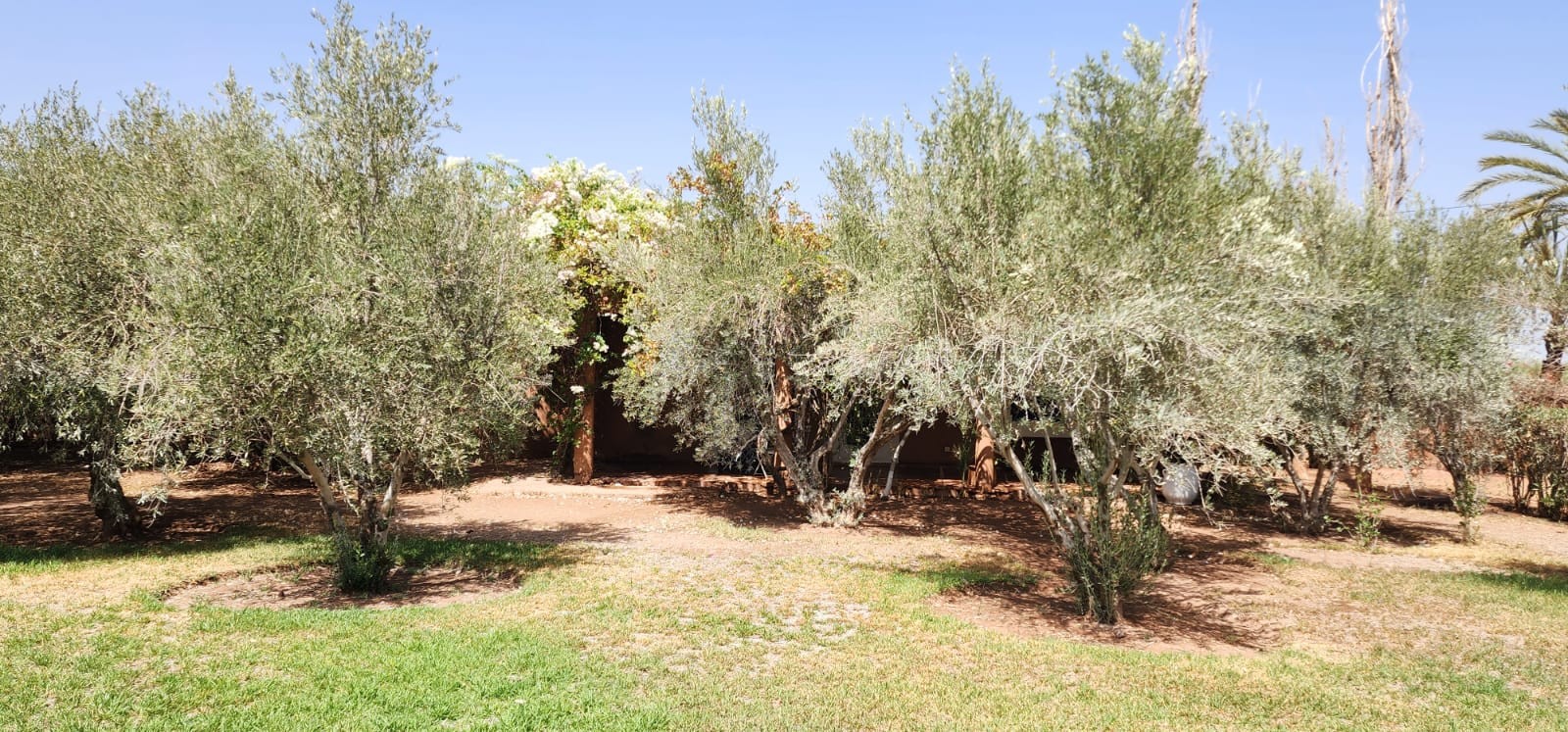 Villa de standing, Route de l'Ourika